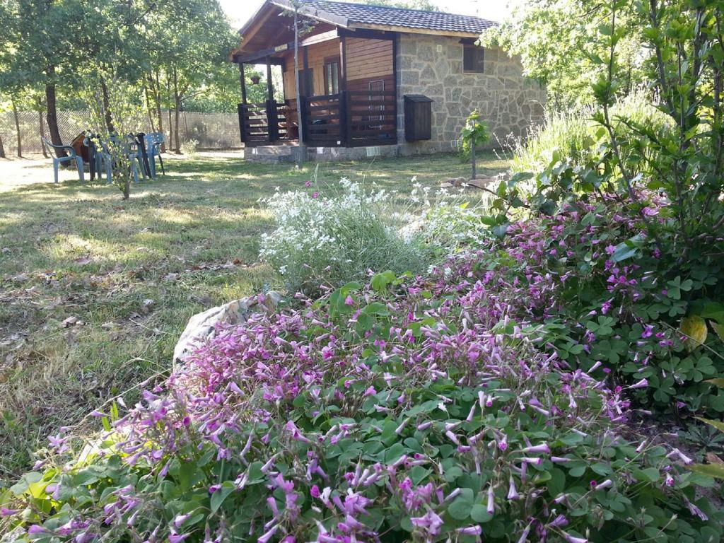 Cabanas Vallecino Manzanal de los Infantes Ngoại thất bức ảnh