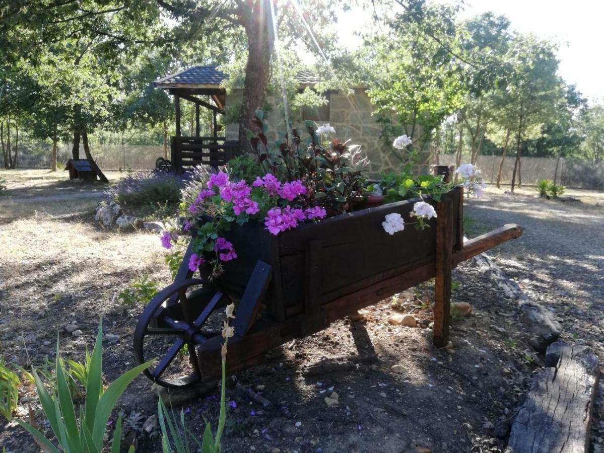 Cabanas Vallecino Manzanal de los Infantes Ngoại thất bức ảnh